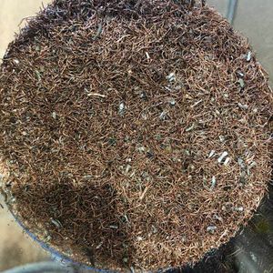 2号铜米 #2 copper chop