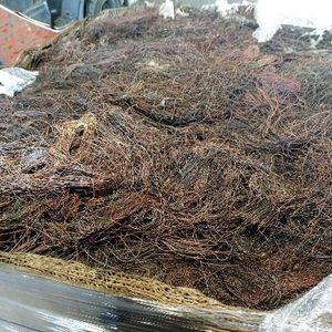 火烧铜线 Burned wire