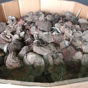 破碎马达 Meatball