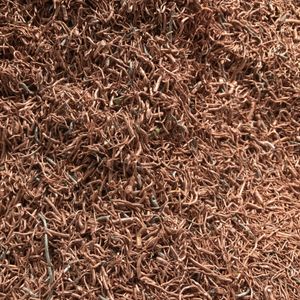 1号铜米 #1 copper chop
