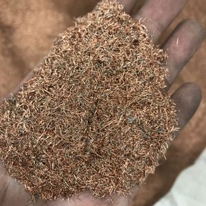 2号铜米 #2 copper chop