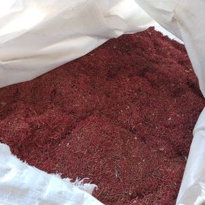 2号铜米 #2 copper chop
