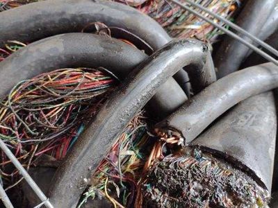 Jelly wire