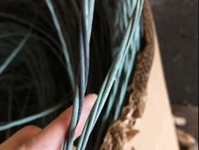 二合一线 6A 2&1 wire 6A